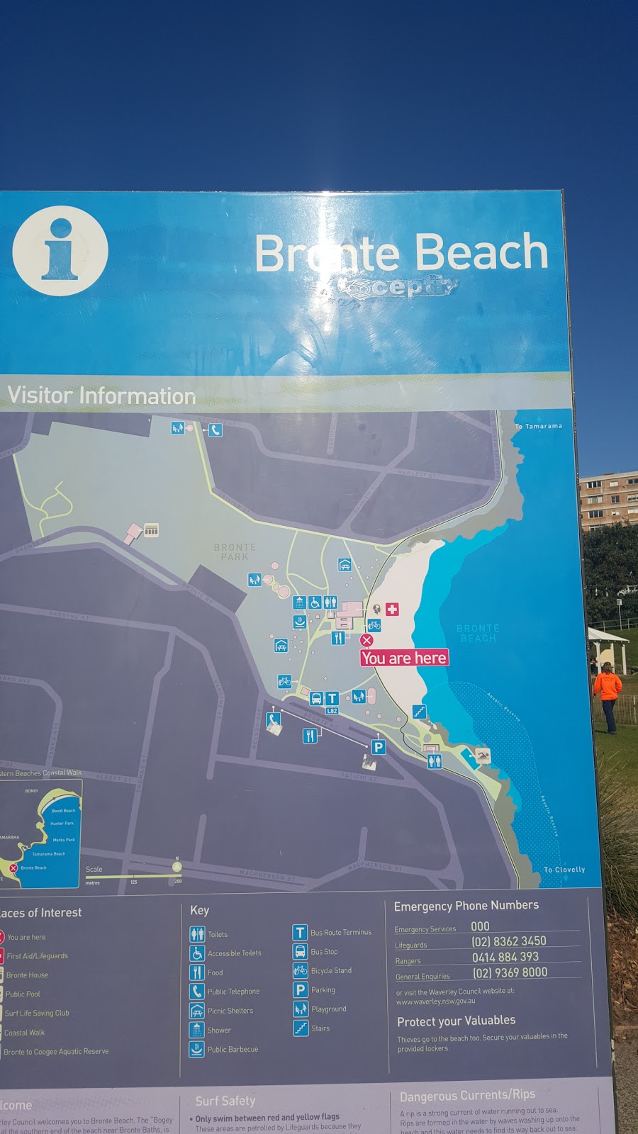 Bronte Beach Kiosk | store | Bronte Rd, Bronte NSW 2024, Australia | 0293860076 OR +61 2 9386 0076