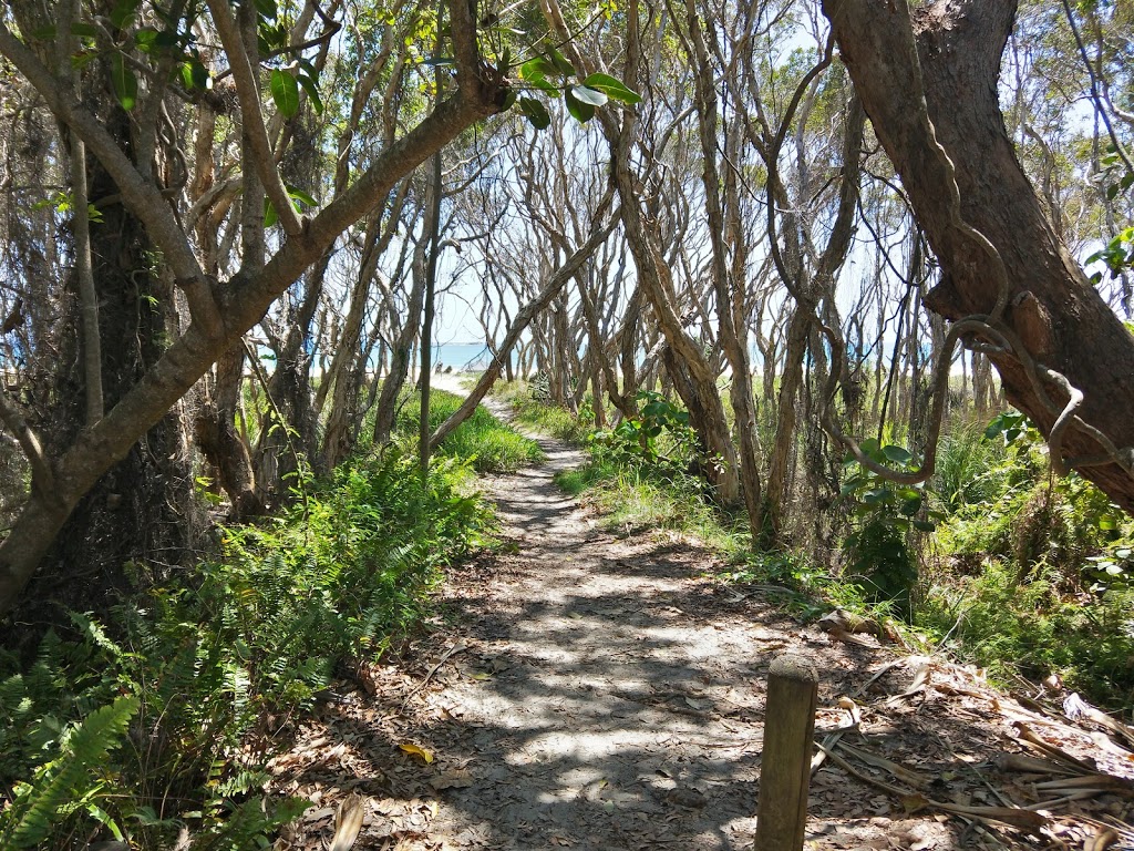 Home Beach Camping Ground | 80 E Coast Rd, Point Lookout QLD 4183, Australia | Phone: (07) 3409 9668