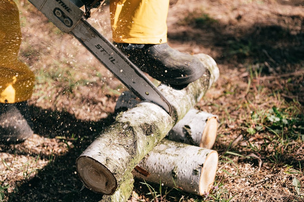 Sydney Tree Removal / Tree Services and Pruning |  | 3A Norfolk Rd, Longueville NSW 2066, Australia | 0490014553 OR +61 490 014 553