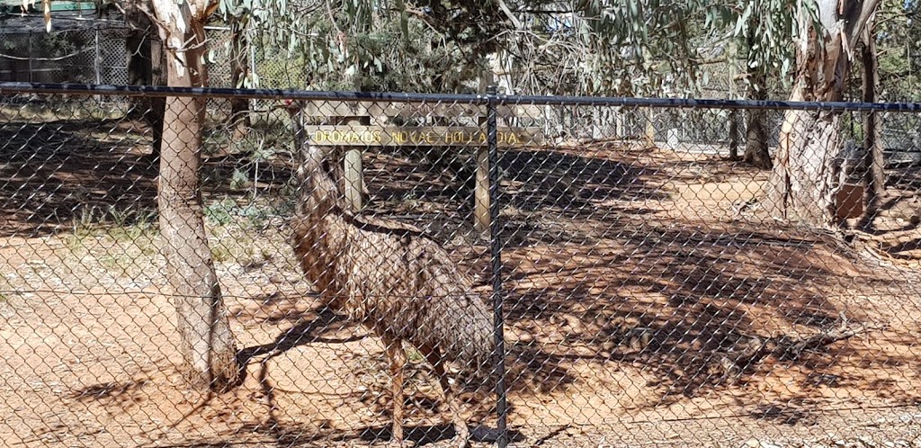 Wagga Wagga Zoo & Aviary | zoo | MacLeay St, Turvey Park NSW 2650, Australia | 0269269100 OR +61 2 6926 9100