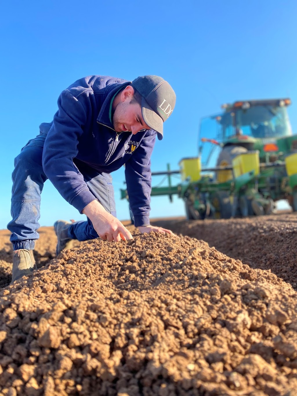 Bellevue Pastoral Company - Narrabri | 930 Browns Ln, Tarriaro NSW 2390, Australia | Phone: 0477 579 533