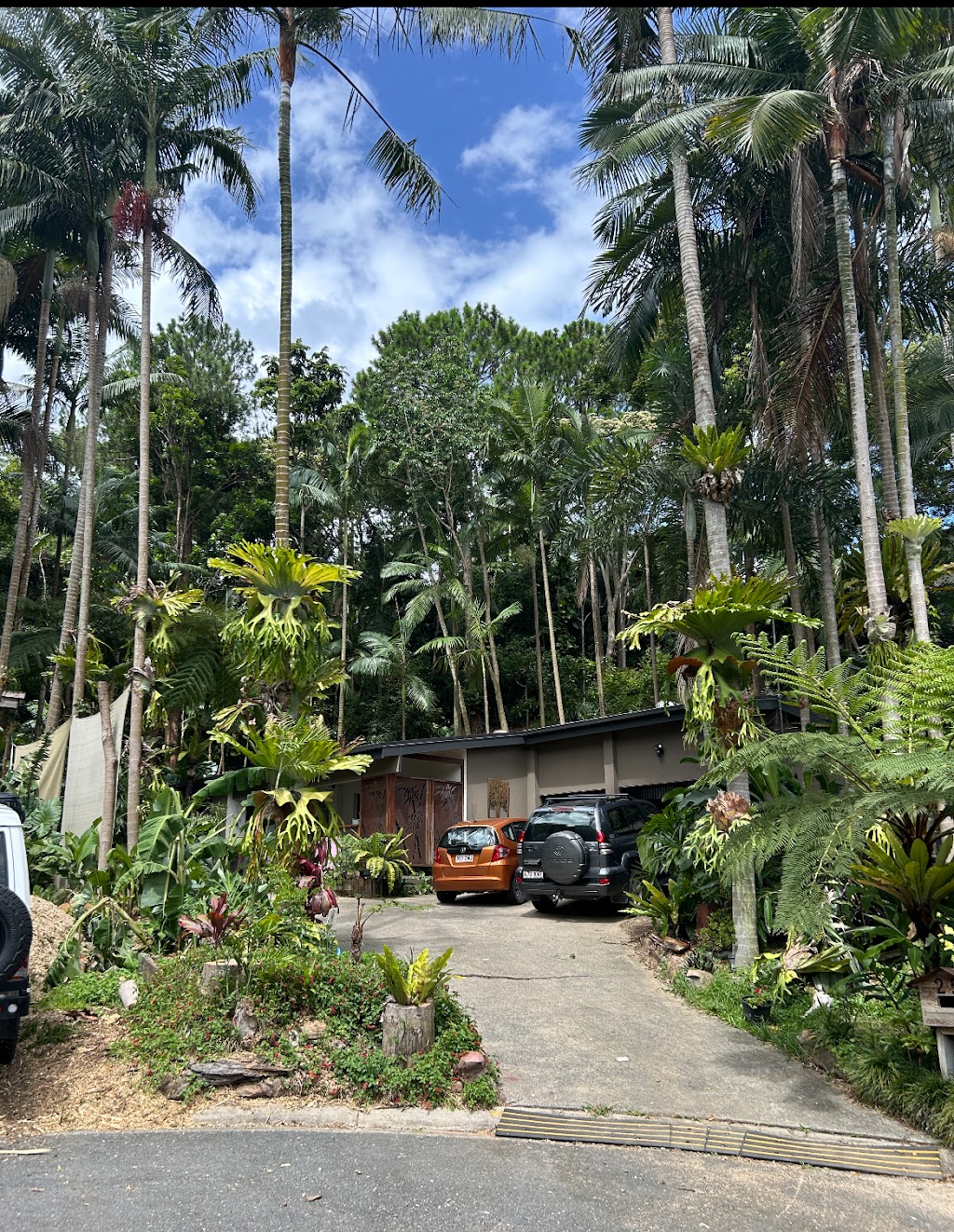 Pacific Tree Services | 31B Alexander Ln, Eltham NSW 2480, Australia | Phone: 0448 954 559