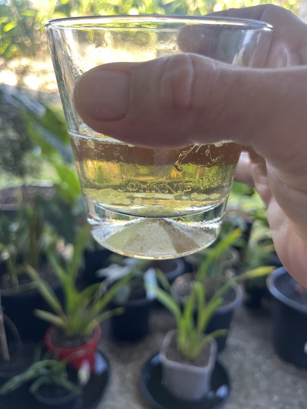 Naturally Native | 10 Noble Rd, Blue Knob NSW 2480, Australia | Phone: (02) 5500 1627