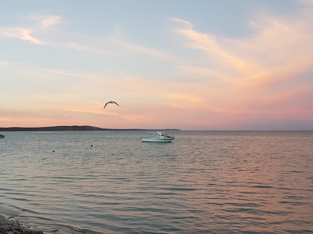 Shark Bay Scenic Flights powered by Nationwest Aviation | Shark Bay Airport Rd, Denham WA 6537, Australia | Phone: (08) 9390 0999