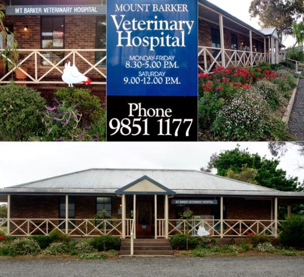 Mt Barker Veterinary Hospital | veterinary care | 69 Lowood Rd, Mount Barker WA 6324, Australia | 0898511177 OR +61 8 9851 1177