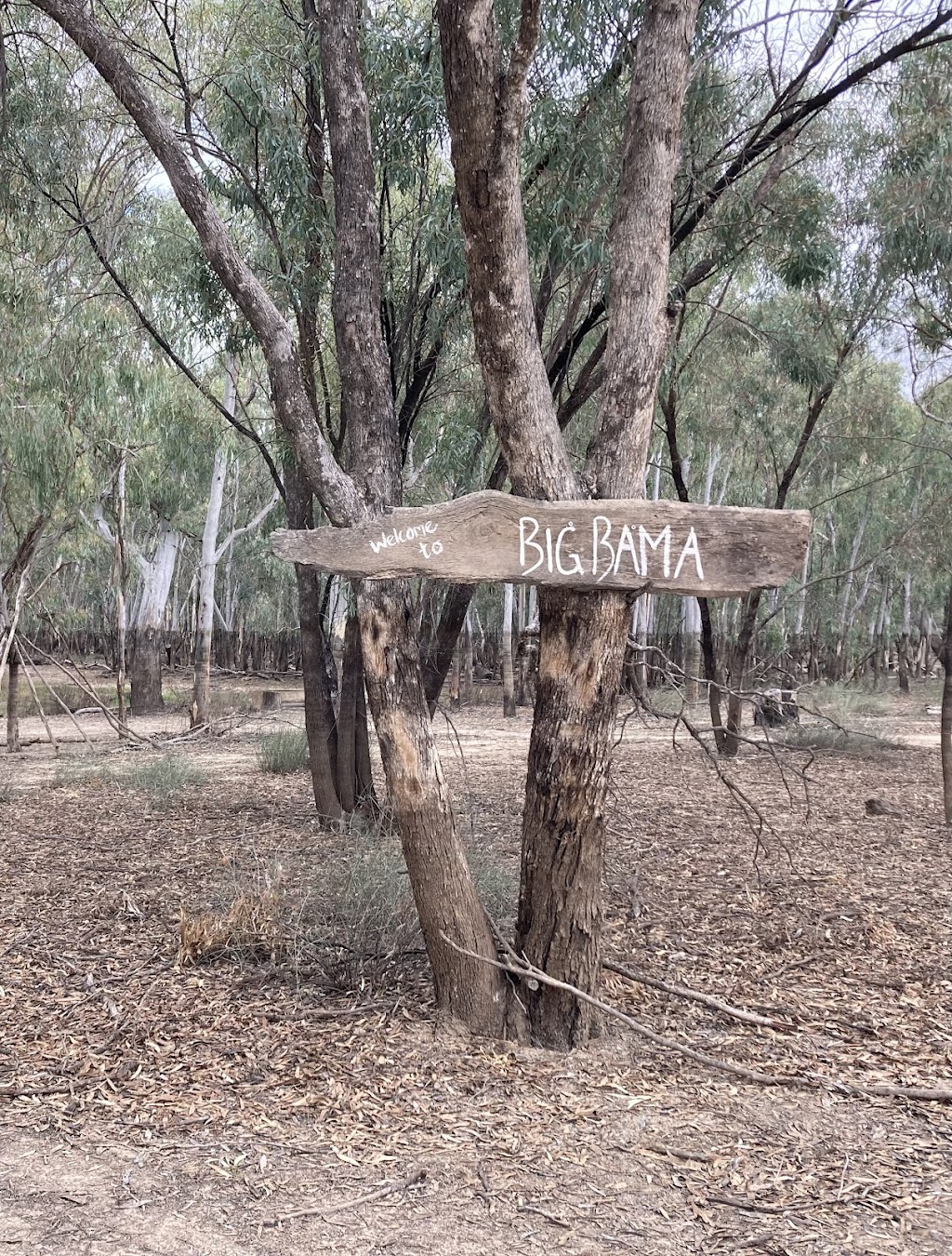 Gate 2 - Tooranie Stay Camp, and Glamp | Old Barmah Rd, Moama NSW 2731, Australia | Phone: 0425 875 029