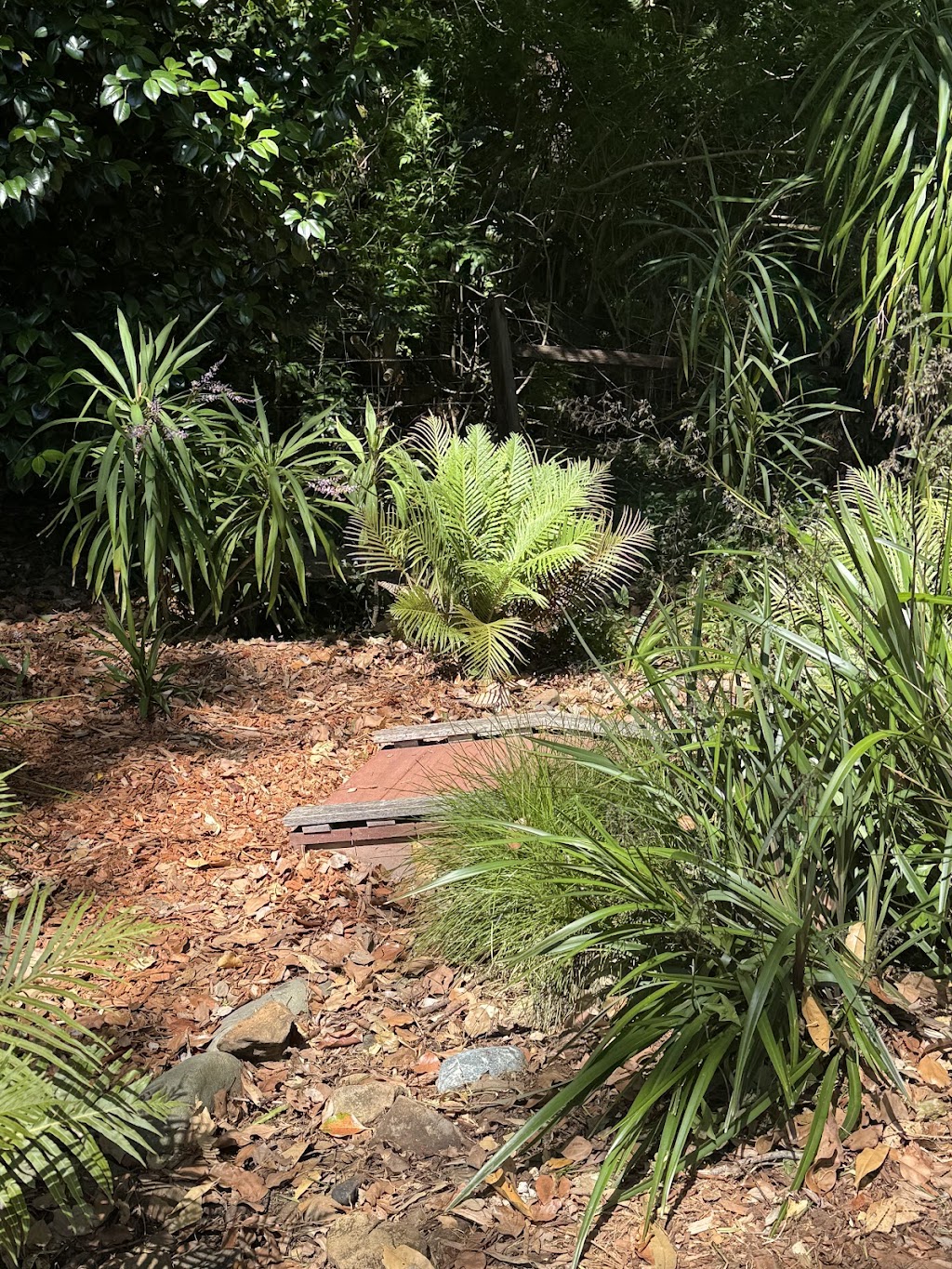 Viriditas Gardens | 1141A Main Arm Rd, Upper Main Arm NSW 2482, Australia | Phone: 0402 089 573