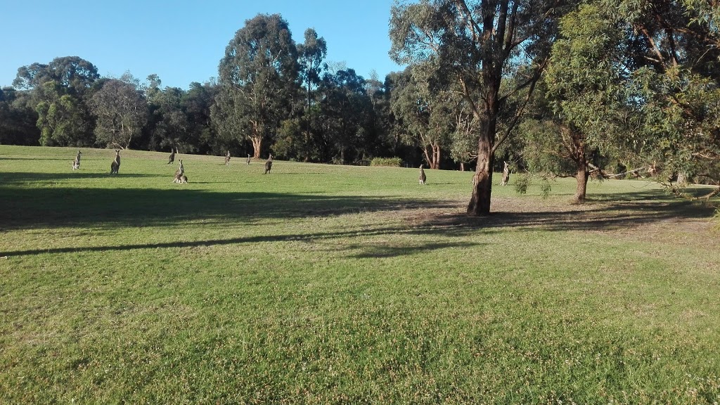 Tirhatuan Wetlands | park | Rowville VIC 3178, Australia