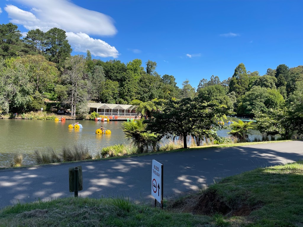 Lakeside Paddleboats Pty Ltd | Emerald Lake Park, Emerald VIC 3782, Australia | Phone: 0412 951 280