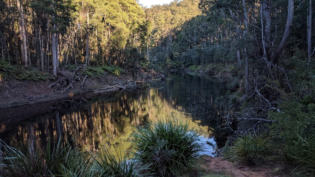 Carpark | park | Dial Rd, North Motton TAS 7315, Australia