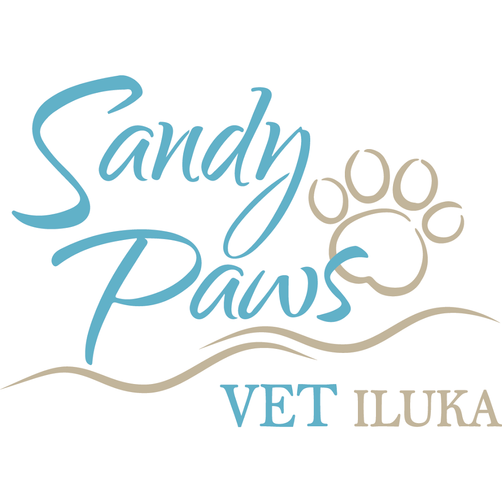Sandy Paws Vet Iluka | veterinary care | 6/42-44 Charles St, Iluka NSW 2466, Australia | 0266465676 OR +61 2 6646 5676
