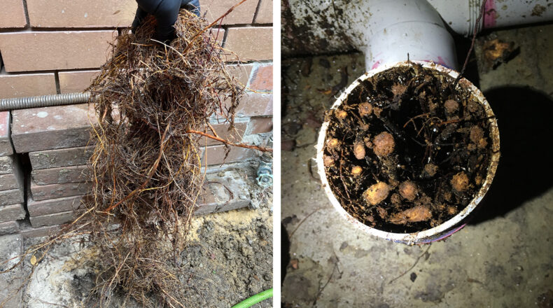 Blocked Drain Bros Melbourne | 1 Daphne Walk, Clyde VIC 3978, Australia | Phone: 0450 663 420