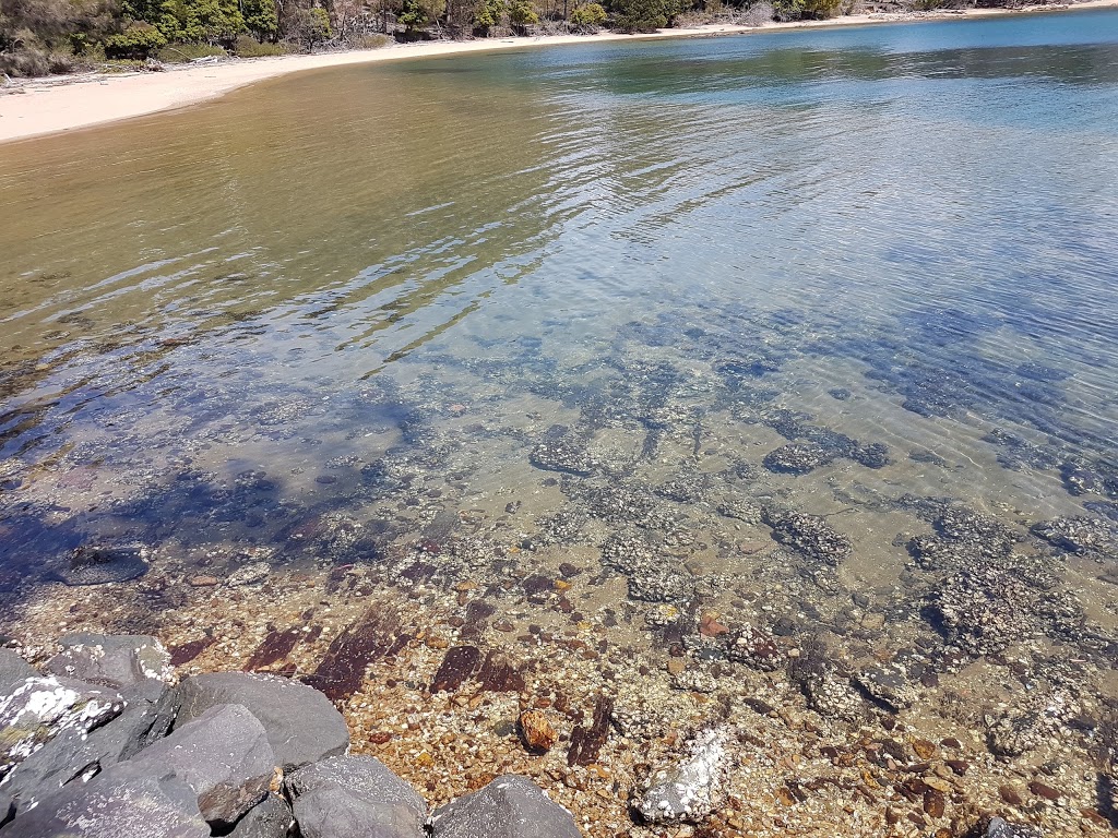 Davidson Whaling Station | Edrom NSW 2551, Australia