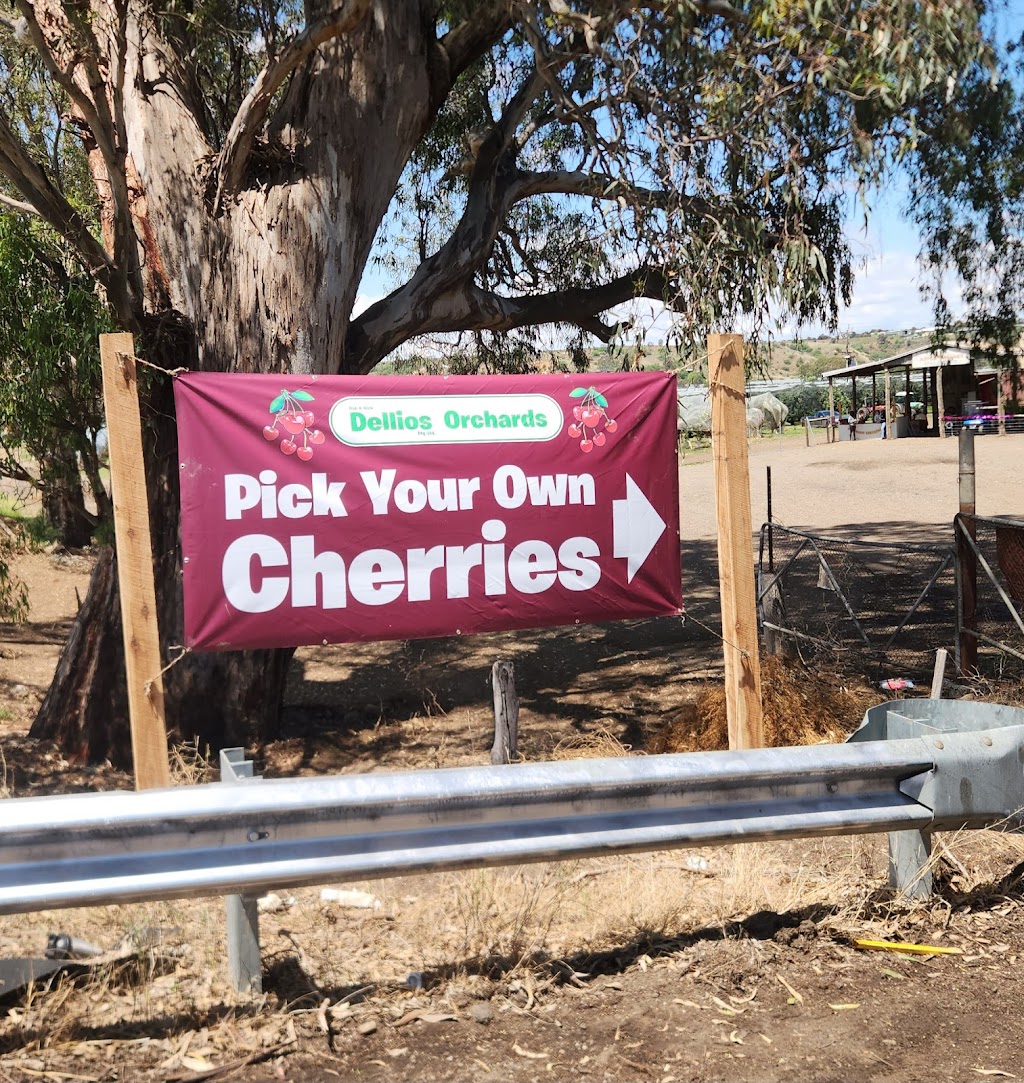 Dellios Orchards | 664 Bacchus Marsh Rd, Bacchus Marsh VIC 3340, Australia | Phone: (03) 5367 5297