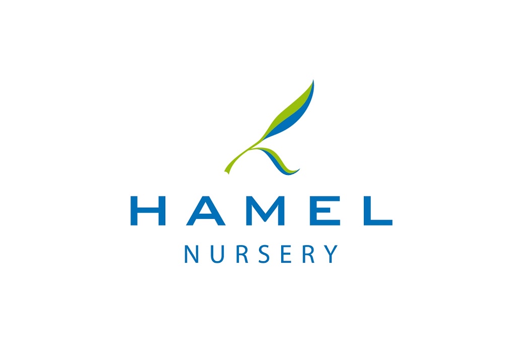 Hamel Nursery |  | 178 Attein Rd, West Coolup WA 6214, Australia | 0439769379 OR +61 439 769 379
