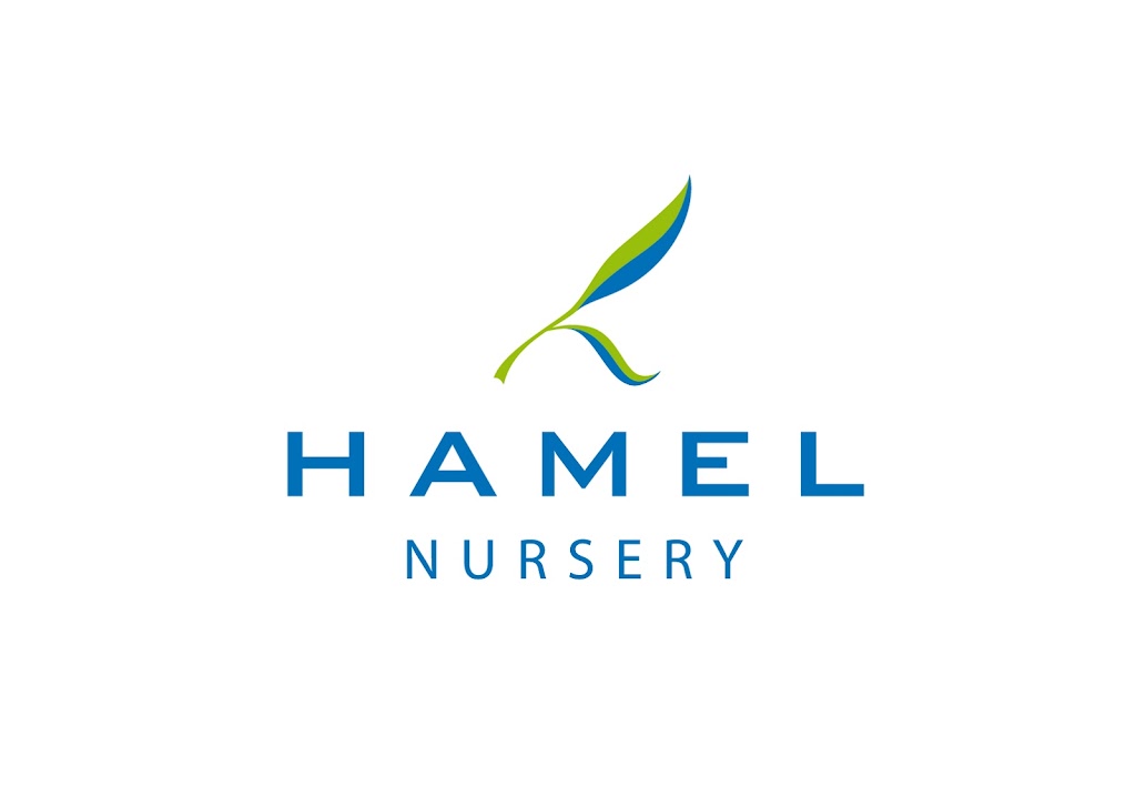 Hamel Nursery 178 Attein Rd West Coolup WA 6214 Australia   23178c07d88ee89f1c6070cd8b434716  Western Australia Shire Of Murray West Coolup Hamel Nursery 0439 769 379html 