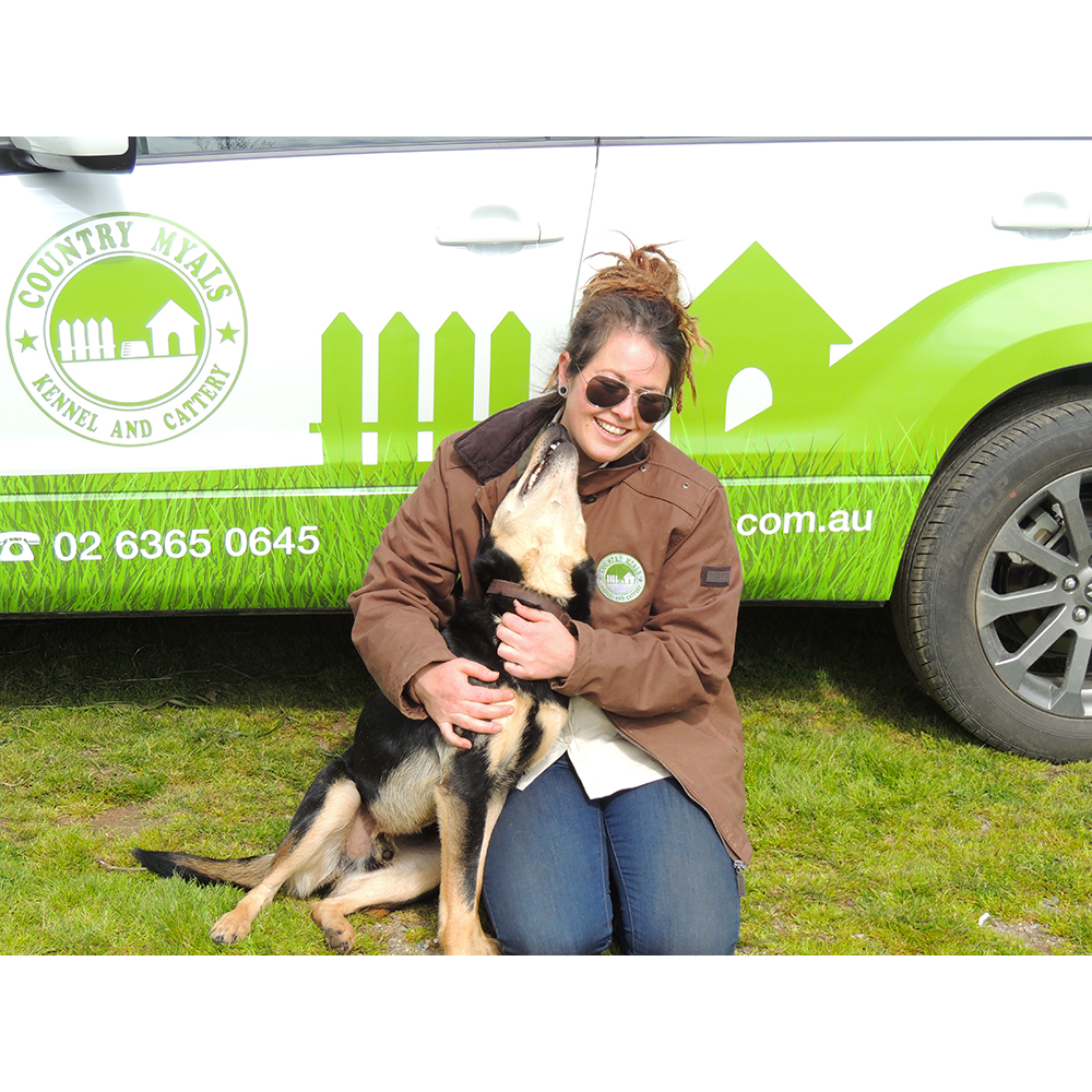 Country Myals Kennel and Cattery | 1190 Mitchell Hwy, Orange NSW 2800, Australia | Phone: (02) 6365 0645