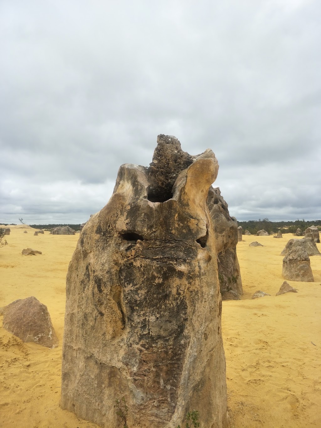 Pinnacles Desert Discovery Centre | Nambung WA 6521, Australia | Phone: (08) 9652 7913