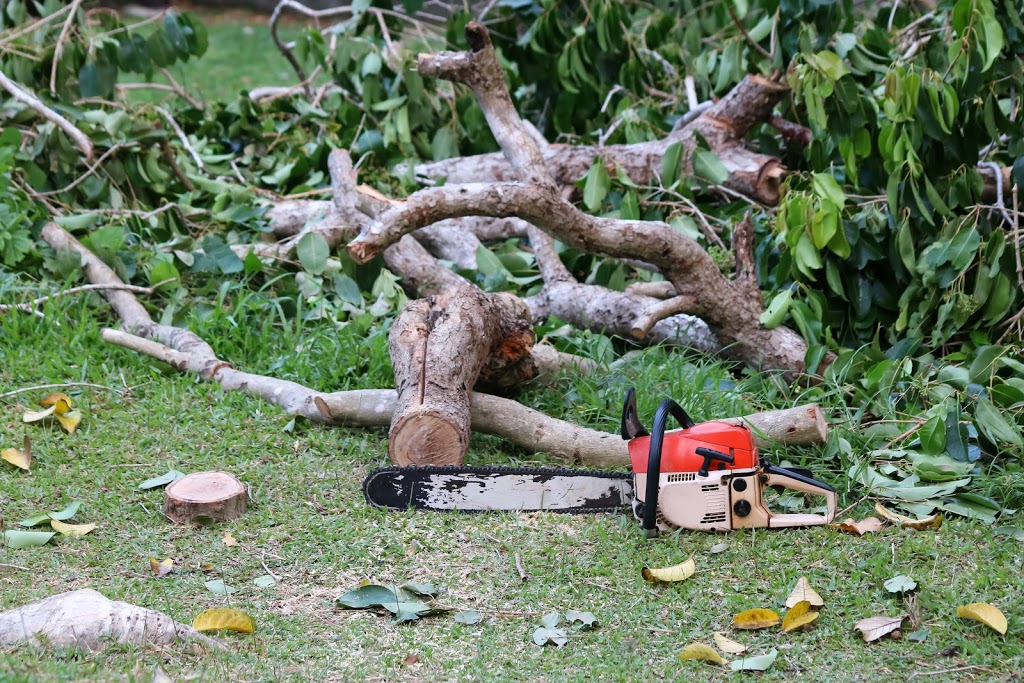 Tree Removal Dean Park |  | Tree Lopping, Tree Trimming, Land Clearing, Arborist, Dean Park NSW 2761, Australia | 0480024711 OR +61 480 024 711