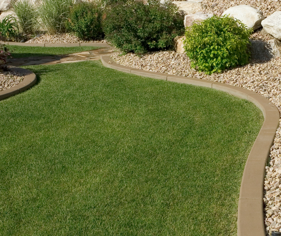 Better Lawn Co | 16 Fletcher Dr, Armstrong Creek VIC 3217, Australia | Phone: 0452 511 266
