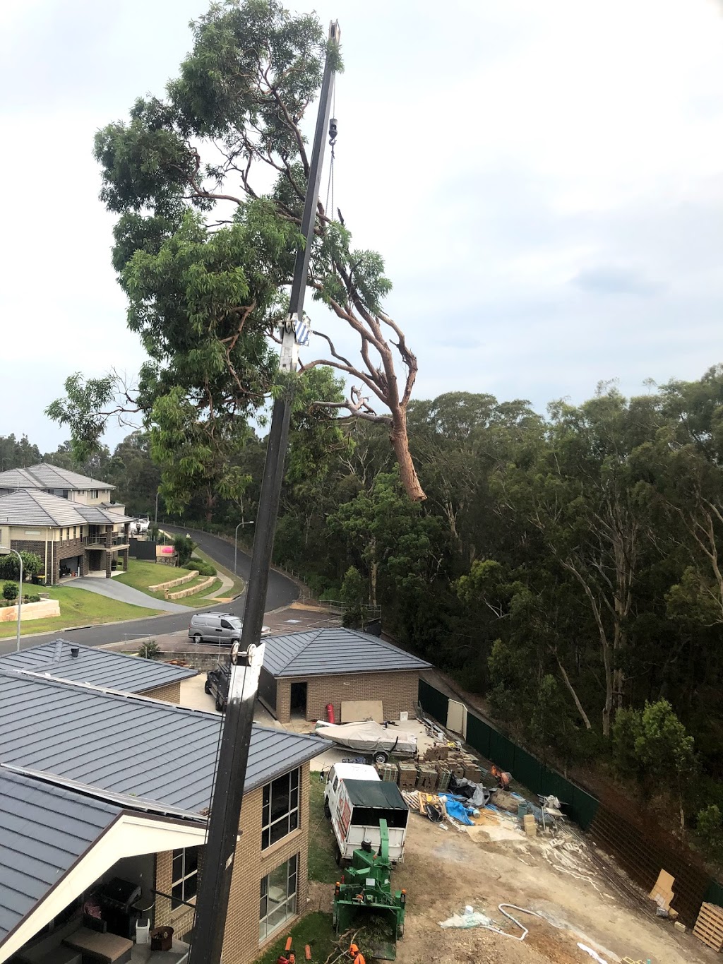 Beaus Tree Service | 9 Ginkers Way, Cooranbong NSW 2265, Australia | Phone: 0487 238 994