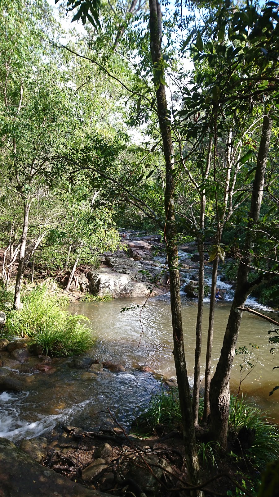 Woondum National Park | park | Mothar Mountain QLD 4570, Australia