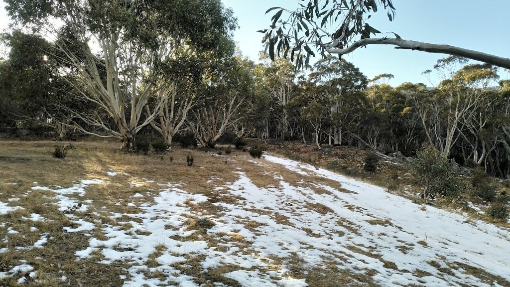 Island Bend campground | Guthega Road, Kosciuszko National Park NSW 2627, Australia | Phone: (02) 6450 5600