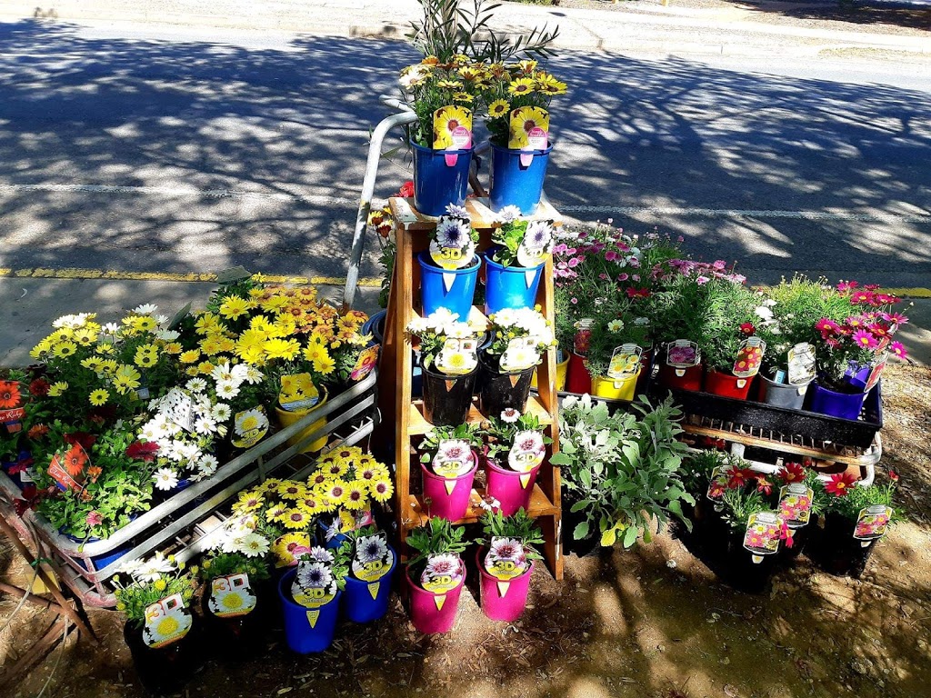 Meadows Nursery |  | 63 Mawson Rd, Meadows SA 5201, Australia | 0413998387 OR +61 413 998 387