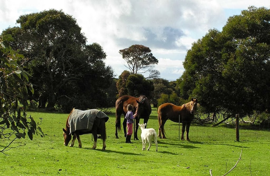 The Roost | 457 Elsegood Rd, Haines SA 5223, Australia | Phone: 0438 538 241