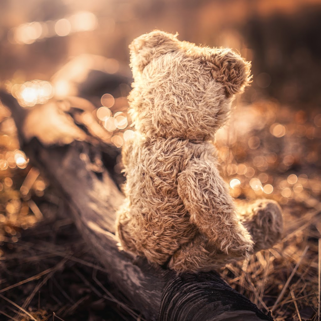 The Teddy Bear Cupboard - Online Soft Toy Store | 5 Turners Rd, Granton TAS 7030, Australia | Phone: (03) 6263 8113