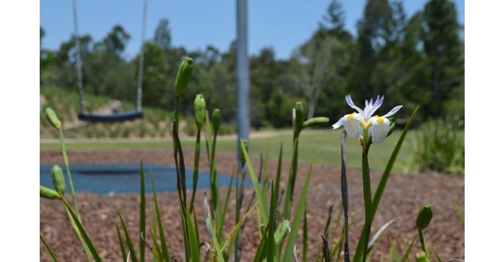 Ray White Narangba | 13/32 Main St, Narangba QLD 4504, Australia | Phone: (07) 3886 6566