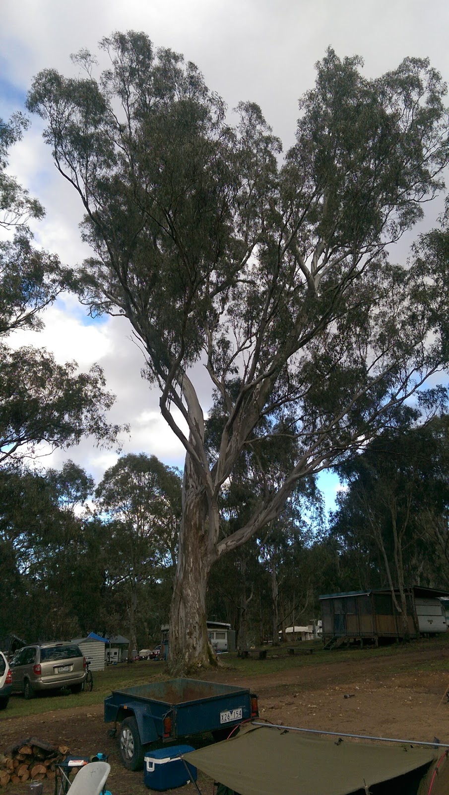 Valencia Creek Caravan Park | Valencia Creek VIC 3860, Australia