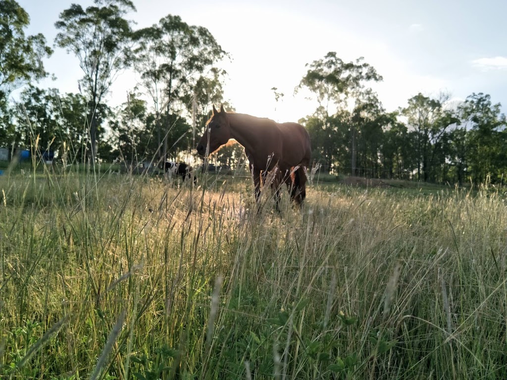 Wide Bay Equine Therapies |  | Seccombes Rd, Degilbo QLD 4621, Australia | 0421564916 OR +61 421 564 916