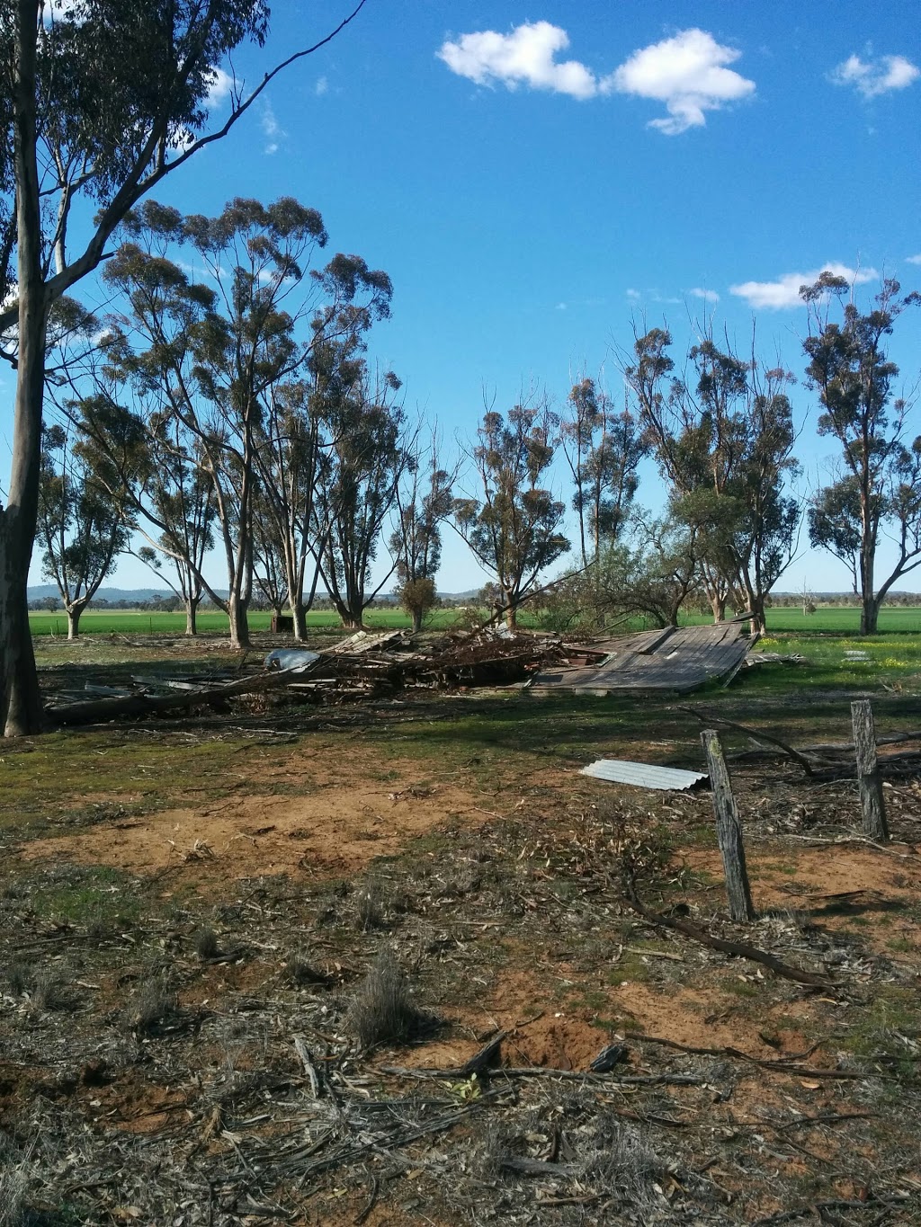 The Barrakee South State School | school | Richmond Plains VIC 3518, Australia