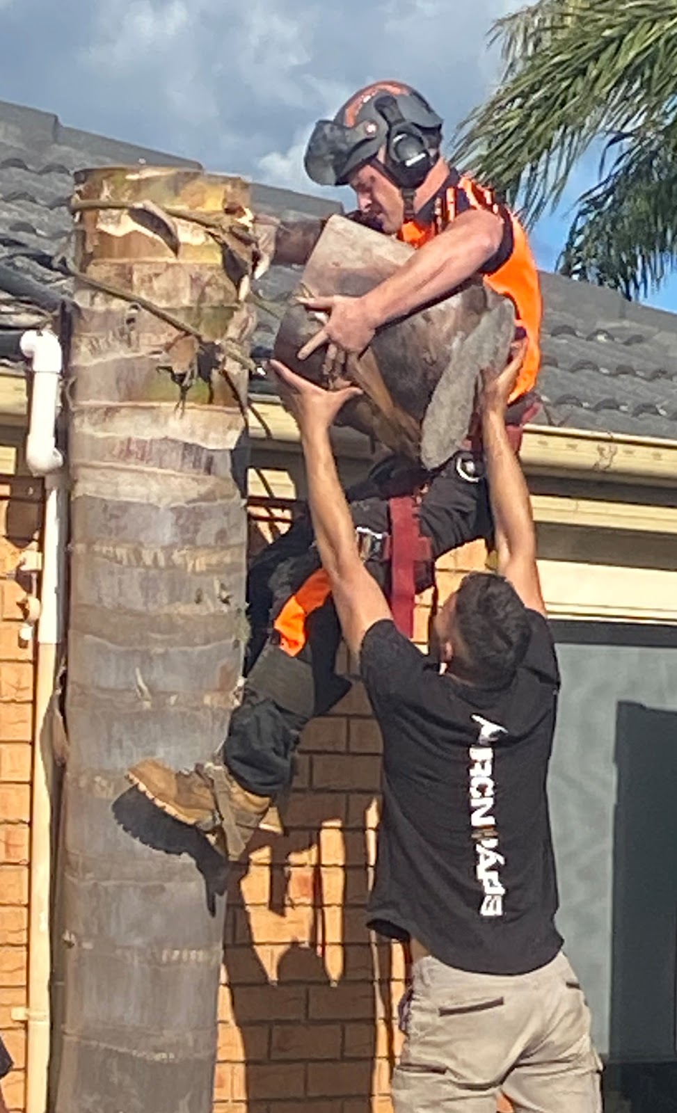 Peninsula Tree Service |  | Dromana VIC 3936, Australia | 0421316404 OR +61 421 316 404