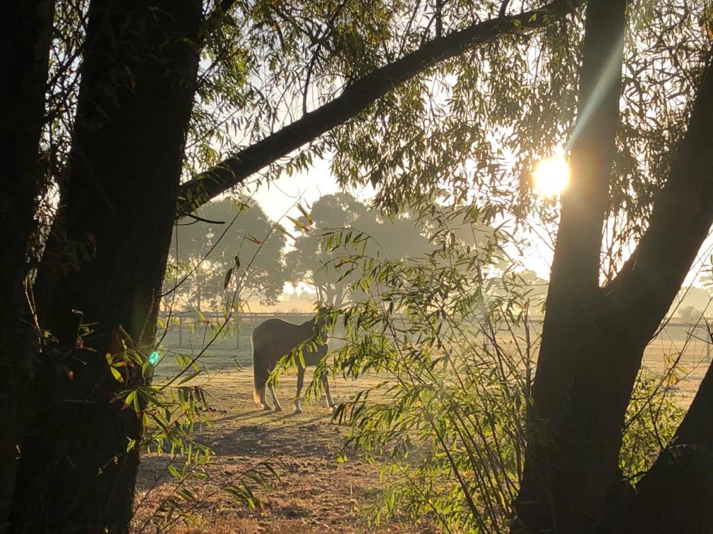 Willow Lane Equestrian Centre | 296 Pillars Rd, Bangholme VIC 3175, Australia | Phone: 0400 920 366