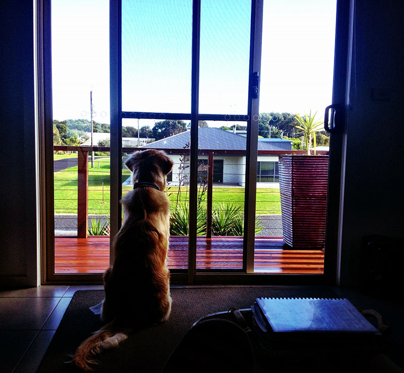 Pet Friendly Accommodation Robe - Beachside Getaway - Dog Friend | real estate agency | 11 Sail St, Boatswain Point SA 5275, Australia | 0428315060 OR +61 428 315 060