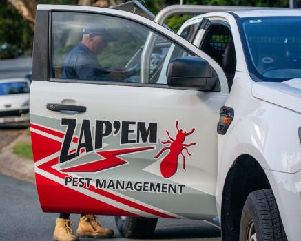 Zapem Pest Management | 93 Glen Eagles Dr, Robina QLD 4226, Australia | Phone: 0756210419