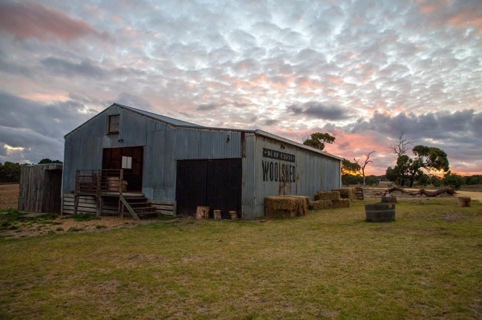 Freshwater Creek Estate | 1185 Blackgate Rd, Freshwater Creek VIC 3217, Australia | Phone: 0414 726 692