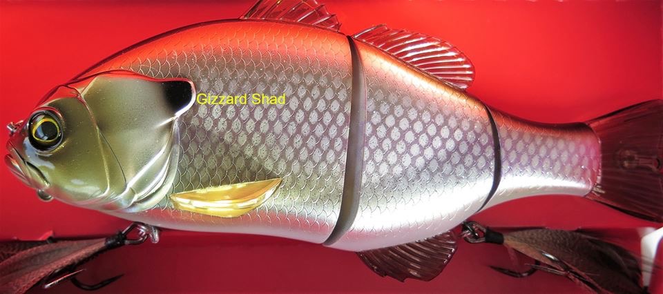 Lake Mulwala Fish Camp & Ski | 74 Melbourne St, Mulwala NSW 2647, Australia | Phone: (03) 5744 3133