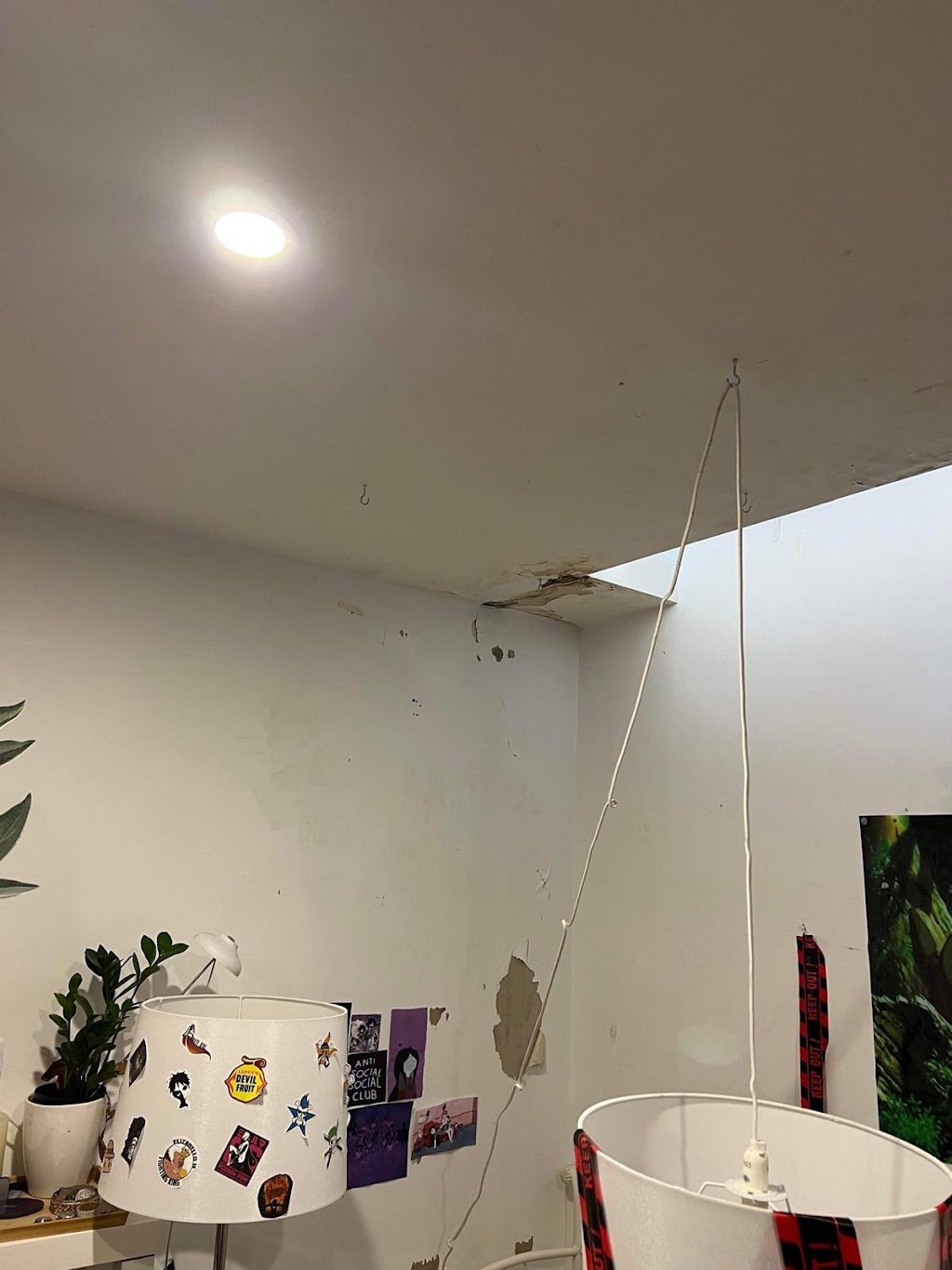 Restore Master Flood, Mould and Fire restoration | 31 Wahroonga St, Raymond Terrace NSW 2324, Australia | Phone: 1300 045 790