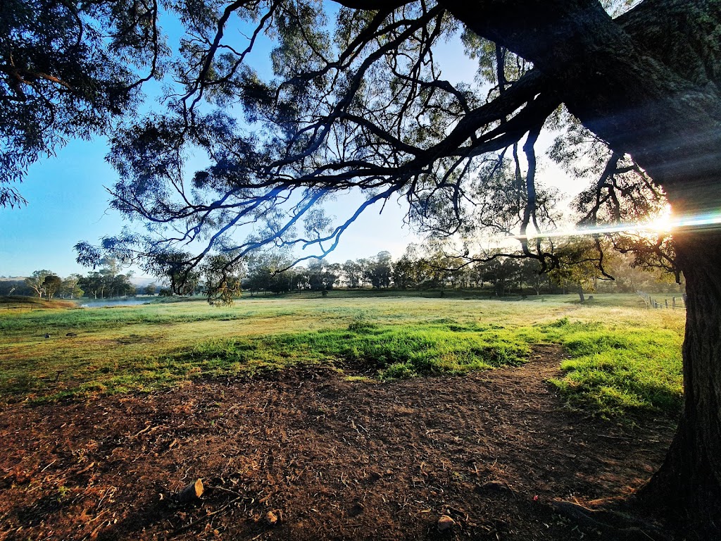 FHT Equine | 26 McNairn Rd, Crows Nest QLD 4355, Australia | Phone: 0402 581 423