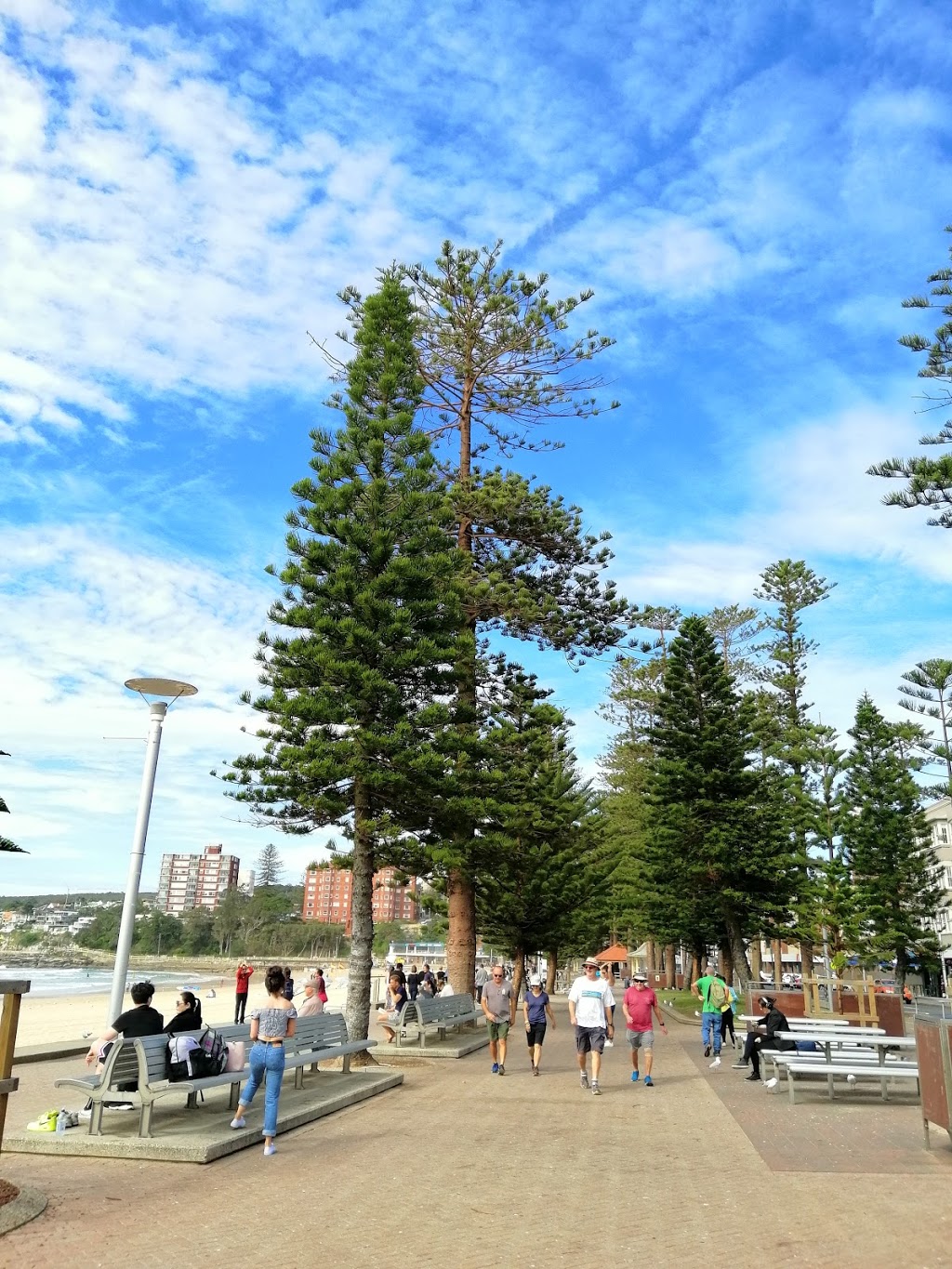 Manly Beach - South Steyne | park | S Steyne, Manly NSW 2095, Australia