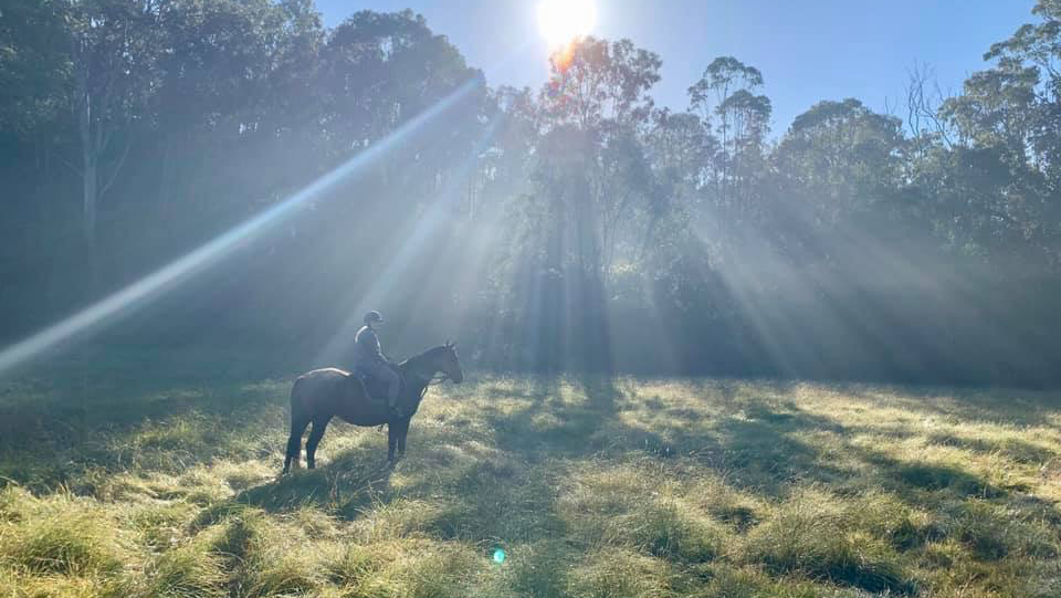 Sydney Horse Riding | 205 Campbelltown Rd, Denham Court NSW 2565, Australia | Phone: 0477 888 980
