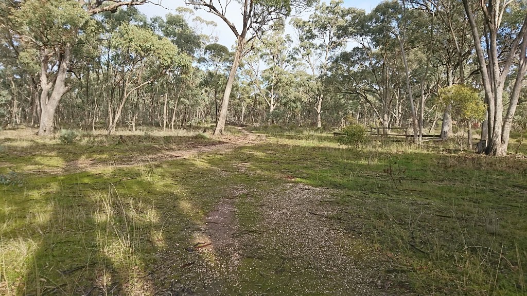 Association Gully Bushland Reserve | St Arnaud VIC 3478, Australia | Phone: 13 19 63