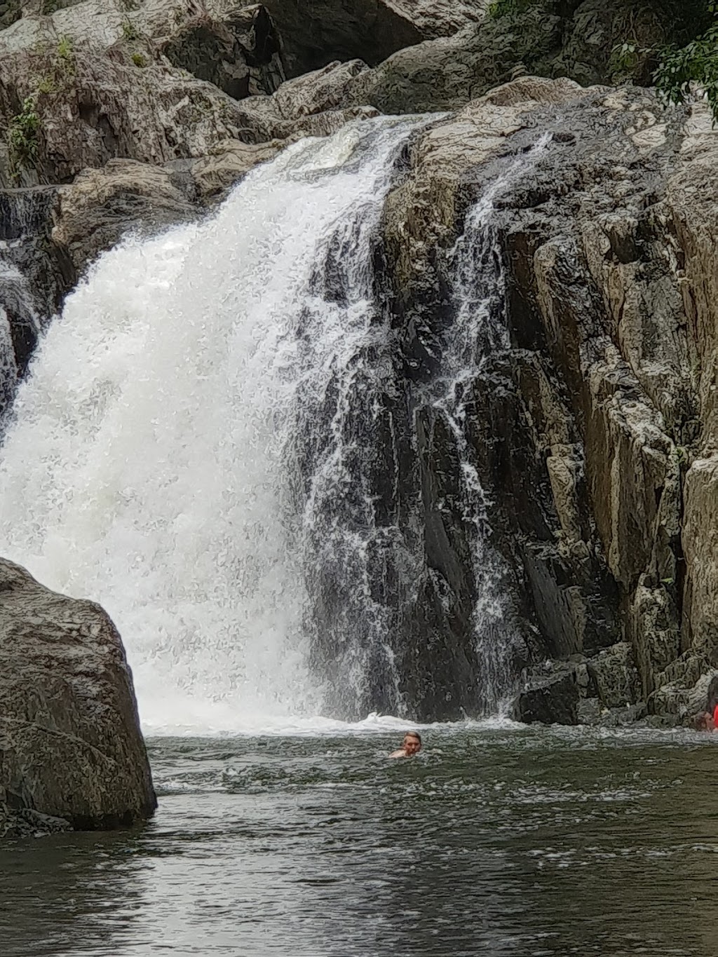 Davies Creek National Park and Dinden National Park | Davies Creek Rd, Mareeba QLD 4880, Australia | Phone: 13 74 68