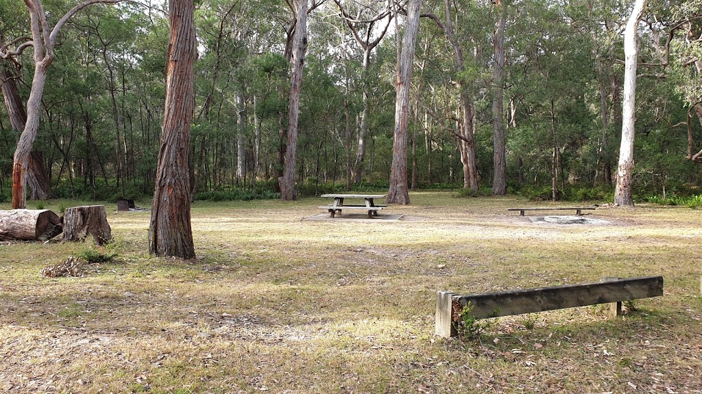 Lake Creek Camping Area | campground | Bourkes Rd, Wadbilliga NSW 2546, Australia