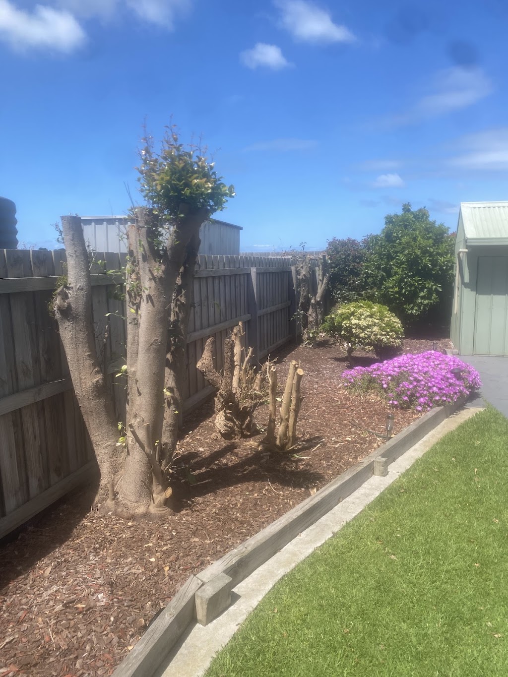 Yucca’s Be Gone | Murradoc Rd, St Leonards VIC 3223, Australia | Phone: 0492 814 422