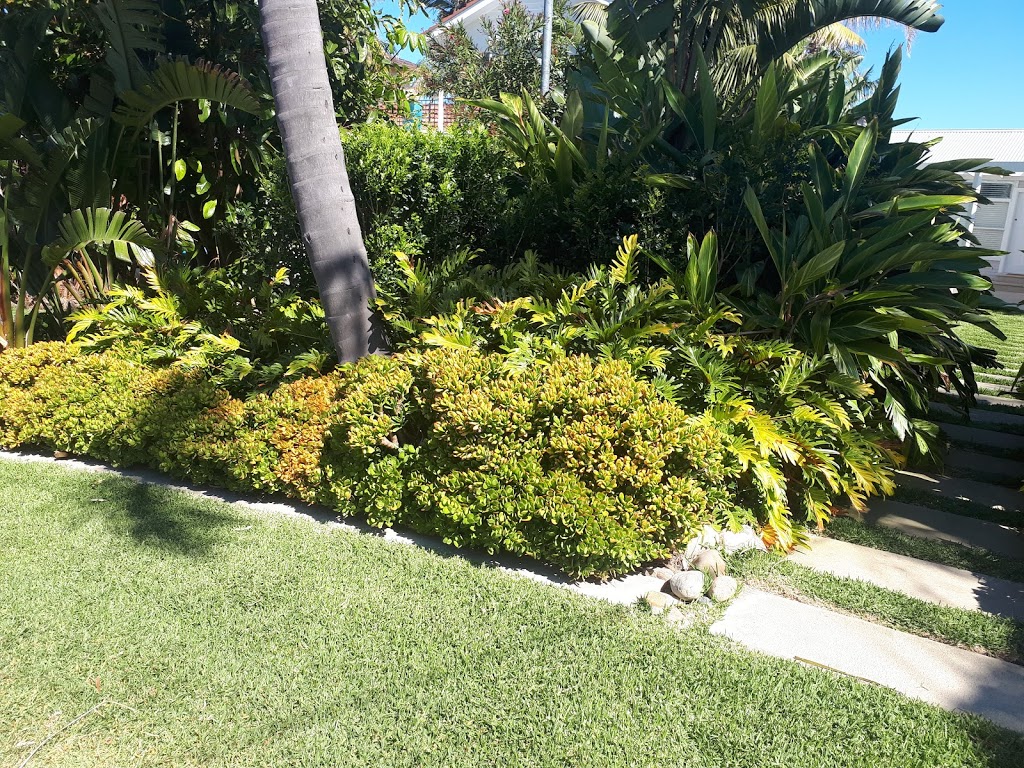 GreenCare Garden Services | Whale Beach Rd, Avalon Beach NSW 2107, Australia | Phone: 0415 320 912