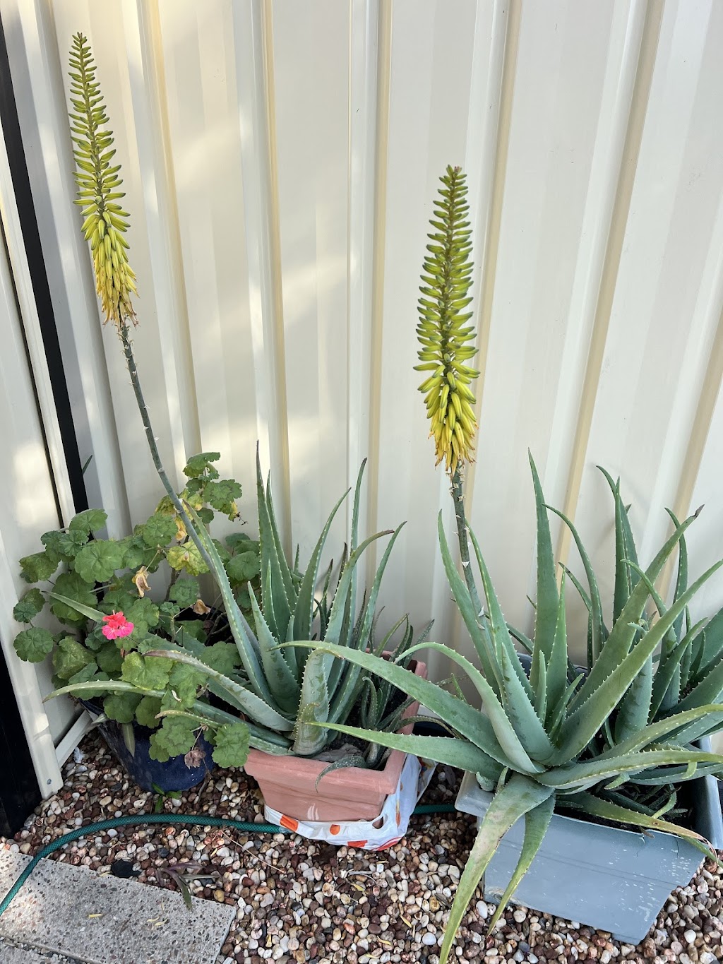 SMT | 43 Azalea Cres, Calamvale QLD 4116, Australia | Phone: 0466 968 888